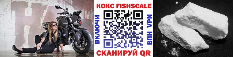 Купить закладки  Новосибирск  Cocaine FishScale 