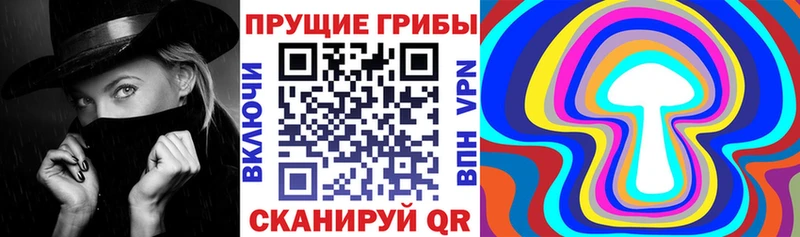 Псилоцибиновые грибы ЛСД Купить закладки Новосибирск